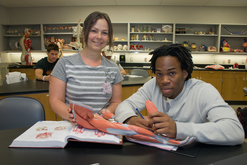 Students studying anatomy