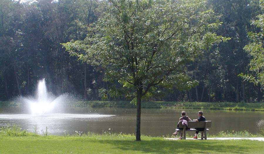 Trees on campus